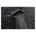 Hansgrohe 24351000 - Hlavová sprcha, 26x26 cm, EcoSmart, 2 proudy, chrom