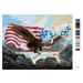 Malování podle čísel - OREL S VLAJKOU USA (D. RUSTY RUST) Rozměr: 40x50 cm, Rámování: bez rámu a