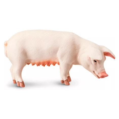 Safari Ltd. Figurka - Prasnice