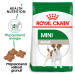 Royal Canin Dog Mini Adult - 2kg