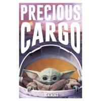Plakát, Obraz - Star Wars: The Mandalorian - Precious Cargo, 61x91.5 cm
