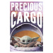 Plakát, Obraz - Star Wars: The Mandalorian - Precious Cargo, (61 x 91.5 cm)