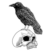 Ilustrace Crow Raven Corvus Bird and Skull Vintage Woodcut, ChrisGorgio, 30x40 cm