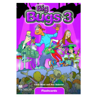 Big Bugs 3 Word Cards Macmillan