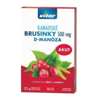 Revital Kanadské brusinky Akut 500mg cps.15