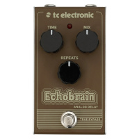 TC Electronic Echobrain Analog Delay Kytarový efekt