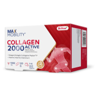 Dr. Max Collagen 2000 Active 120 tablet