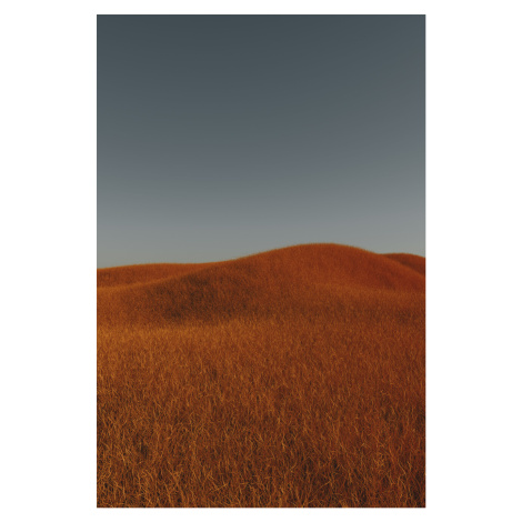 Umělecká fotografie Minimal landscpases of a red grass at with a gradient sky series 4, Javier P