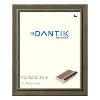 DANTIK rámeček 40 × 50, Oro Fino stříbrný sklo čiré