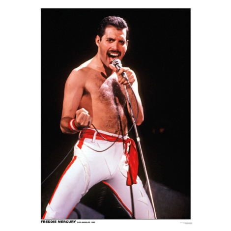 Plakát, Obraz - Queen (Freddie Mercury) - Los Angeles 1982, (59.4 x 84 cm)