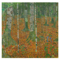 Obrazová reprodukce The Birch Wood (1903), Gustav Klimt, 40 × 40 cm