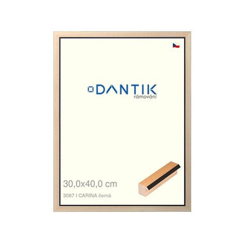 DANTIK rámeček 30 × 40, CARINA černý plexi čiré