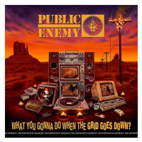 Public Enemy: What You Gonna Do When the Grid Goes Down? - CD