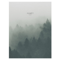 Ilustrace foret2, Finlay & Noa, (30 x 40 cm)