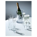 Sklenice na šampaňské Moya Cut, 170 ml, čirá, set 2 ks - LSA International