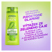 Garnier Fructis Antidandruff Green Tea šampon proti lupům 250 ml