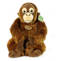 RAPPA - Plyšový orangutan 27 cm ECO-FRIENDLY