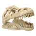 Dekorace REPTI PLANET T-REX lebka 13,3 cm