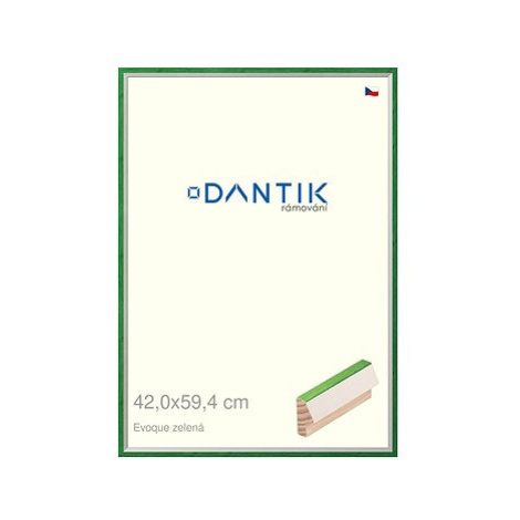 DANTIK rámeček 42 × 59,4, EVOQUE zelený plexi čiré