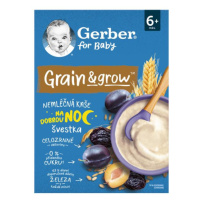 GERBER Kaše nemléčná pšeničně-ovesná švestka 200 g, 6+