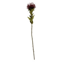 Umělá květina (výška 60 cm) Protea – PT LIVING
