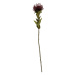 Umělá květina (výška 60 cm) Protea – PT LIVING