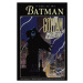 Batman: Gotham by Gaslight - Brian Augustyn, Mike Mignola - kniha z kategorie Sci-fi, fantasy a 