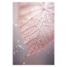 Fotografie Rosy Leaf, Treechild, 26.7 × 40 cm