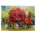 Skleněný obraz Podzim 120x160cm
