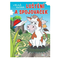 Velká kniha luštění a spojovaček