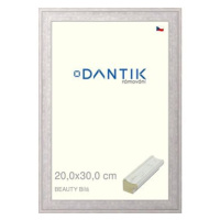 DANTIK rámeček 20 × 30, BEAUTY Bílý sklo čiré