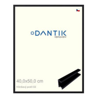 DANTIK rámeček 40 × 50, ALU profil 7003 Černý matný sklo čiré