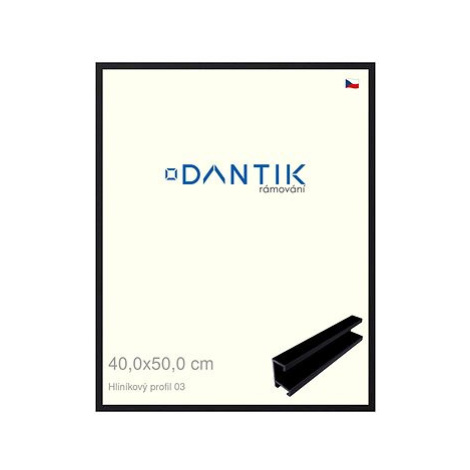 DANTIK rámeček 40 × 50, ALU profil 7003 Černý matný sklo čiré