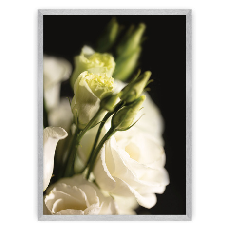 Dekoria Plakát Dark Flowers I, 40 x 50 cm, Volba rámku: Stříbrný