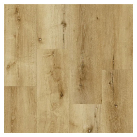 Vinylové podlahy Tajima Classic Ambiente XL 8017