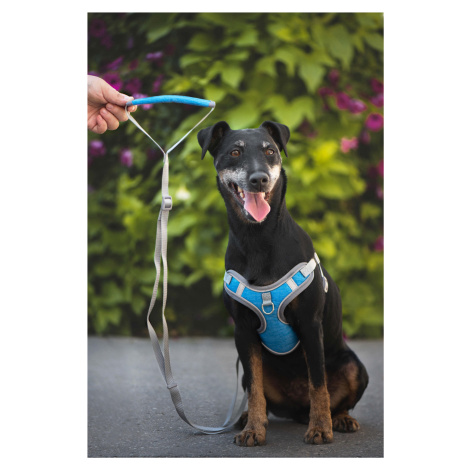 Vsepropejska Havi postroj pro psa s vodítkem Barva: Modrá, Obvod hrudníku: 38 - 46 cm