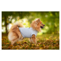 Vsepropejska Enji elastické tričko pro psa Barva: Šedá, Délka zad (cm): 25, Obvod hrudníku: 33 -