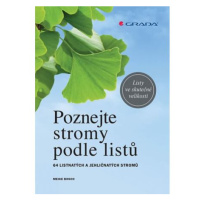 Poznejte stromy podle listů - 64 listnatých a jehličnatých stromů