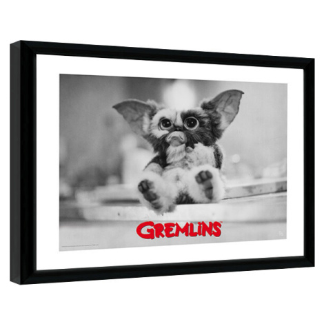 Obraz na zeď - Gremlins - Gizmo GB Eye