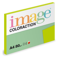 Coloraction A4 80 g 100 ks - Java/středně zelená