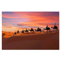 Umělecká fotografie Camel caravan going through the Sahara, Nisangha, (40 x 26.7 cm)