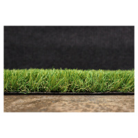 Artificial grass specialists AKCE: 110x190 cm Umělá tráva Rosalia metrážní - Rozměr na míru cm