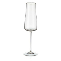 Crystalex sklenice na sekt Alex 210 ml 6 ks