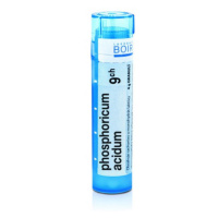 Phosphoricum acidum 9CH granule 4g