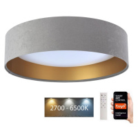 LED Stropní svítidlo SMART GALAXY LED/36W/230V Wi-Fi Tuya šedá/zlatá + DO