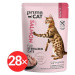 PrimaCat Kapsička pro sterilizované kočky filety s lososím masem ve šťávě 28 × 85 g