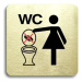 Accept Piktogram "zákaz vhazování předmětů do WC" (80 × 80 mm) (zlatá tabulka - barevný tisk bez