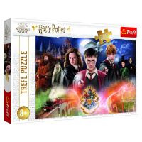 Trefl Puzzle Harry Potter - Tajemný Harry Potter/300 dílků - Trefl