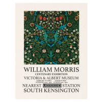 Obrazová reprodukce Tulip (Special Edition) - William Morris, 30x40 cm