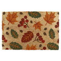 Rohožka z kokosového vlákna 60x90 cm Autumn Leaves – Artsy Doormats